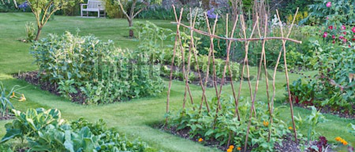 comment créer un jardin écolo